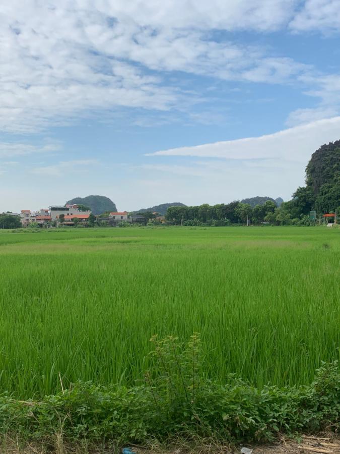 Tam Coc Wonderland Bungalow Ninh Binh Esterno foto