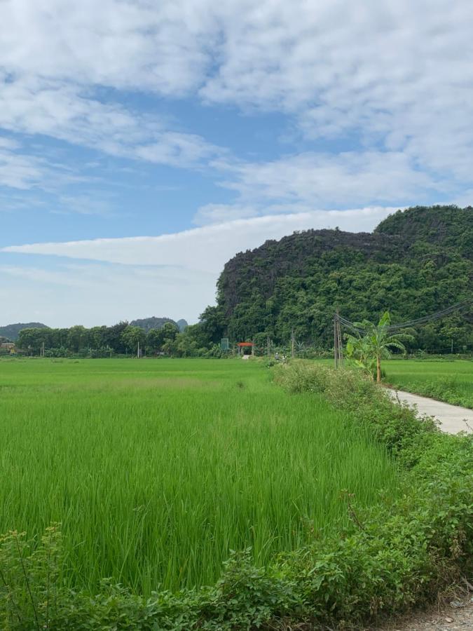 Tam Coc Wonderland Bungalow Ninh Binh Esterno foto