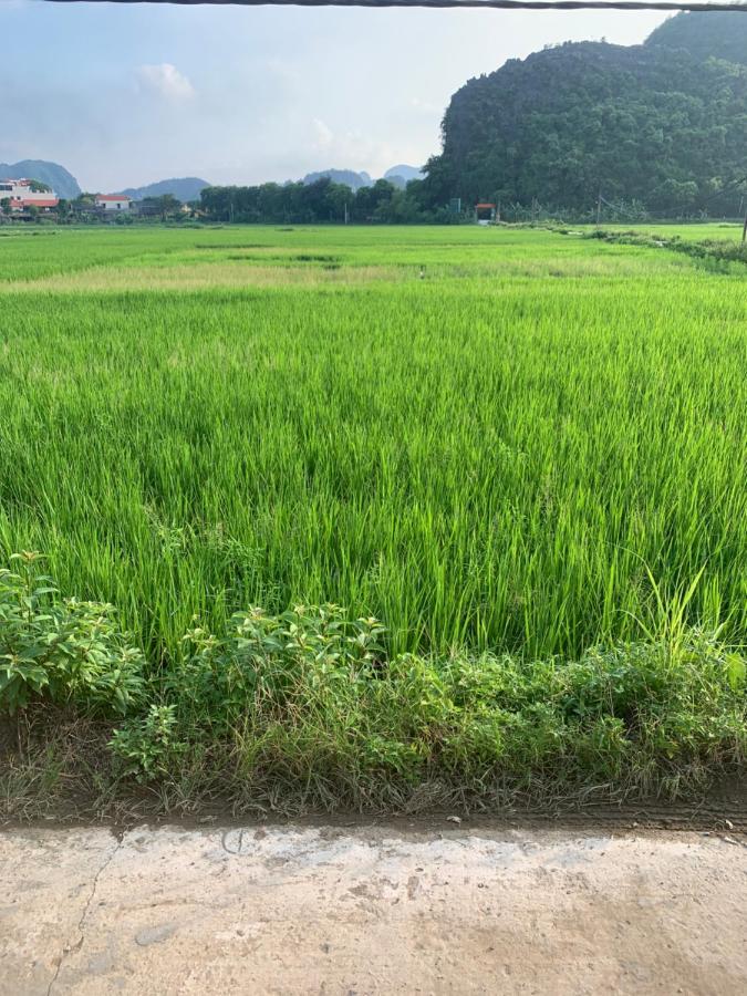 Tam Coc Wonderland Bungalow Ninh Binh Esterno foto